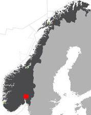 Arealet er på omtrent 84 000 m 2, hvor 46 813 er bebygd areal. ( BYA på 55%).