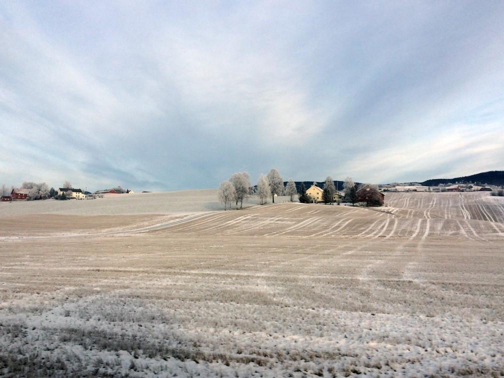 Auka produksjon på norske ressursar Jordbruk over heile landet - framleis geografisk