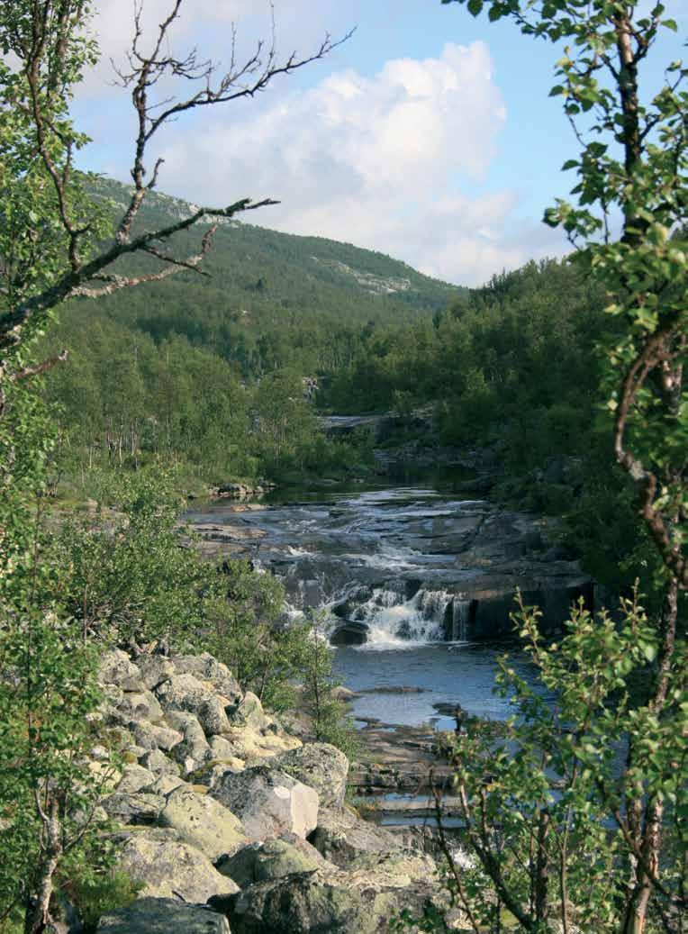 Hol 1 Stolsvatn Oppgradering og utvidelse av eksisterende vannkraftproduksjon i Holsreguleringen Meldingen...4 Dagens situasjon...4 Utbyggingsplanene....4 Tillatelser.