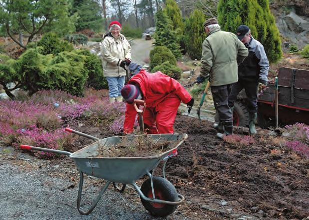 Årsberetning for 2011 for Arboretets venner Årsmøte Årsmøte ble avholdt i Blondehuset den 10. mai 2011. 15 medlemmer var møtt fram.