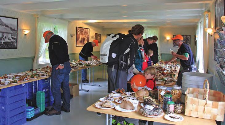 Omvisning 25. september i Nytteveksthagen under "Årets grøde" i Botanisk hage ( foto: Bjørn Moe).