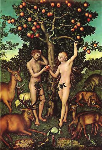 Lucas Cranach d. e. Adam und Eva (1526, fra www.zeno.org). om, virkelig har vært epler. Det kan like gjerne ha vært kveder eller appelsiner.