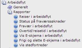 Kontroll av e-skjema i arbeidsflyt Se SAP-biblioteket Arbeidsflyt -> Rapporter -> Vis