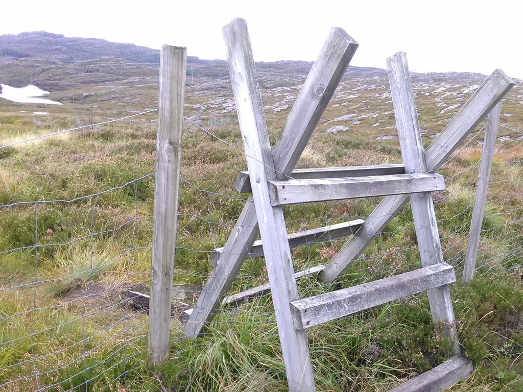 Vedlegg 1: Ulovlig hindring av