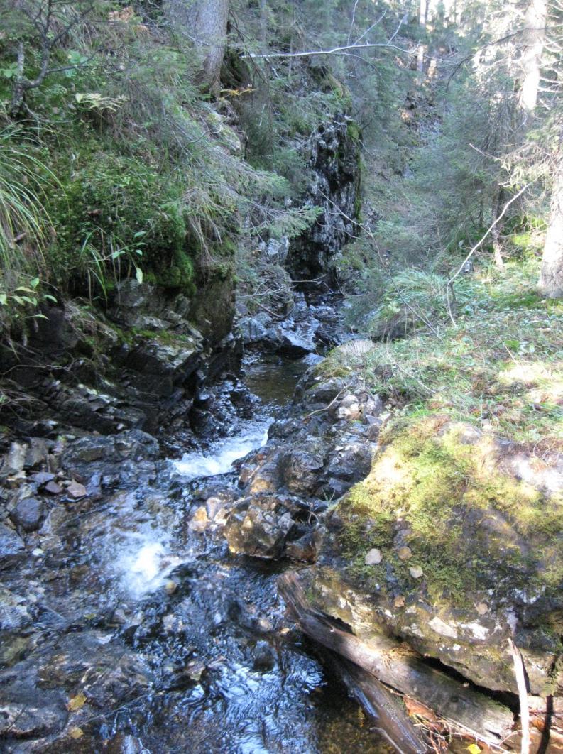 Fylkesmannen i Buskerud - Forvaltningsplan for Bremsåsen naturreservat 13 Bekkekløft og bergvegger FO9 Beliggenhet og beskrivelse Naturtypen er ikke spesielt beskrevet av Fjeldstad, men er omtalt i