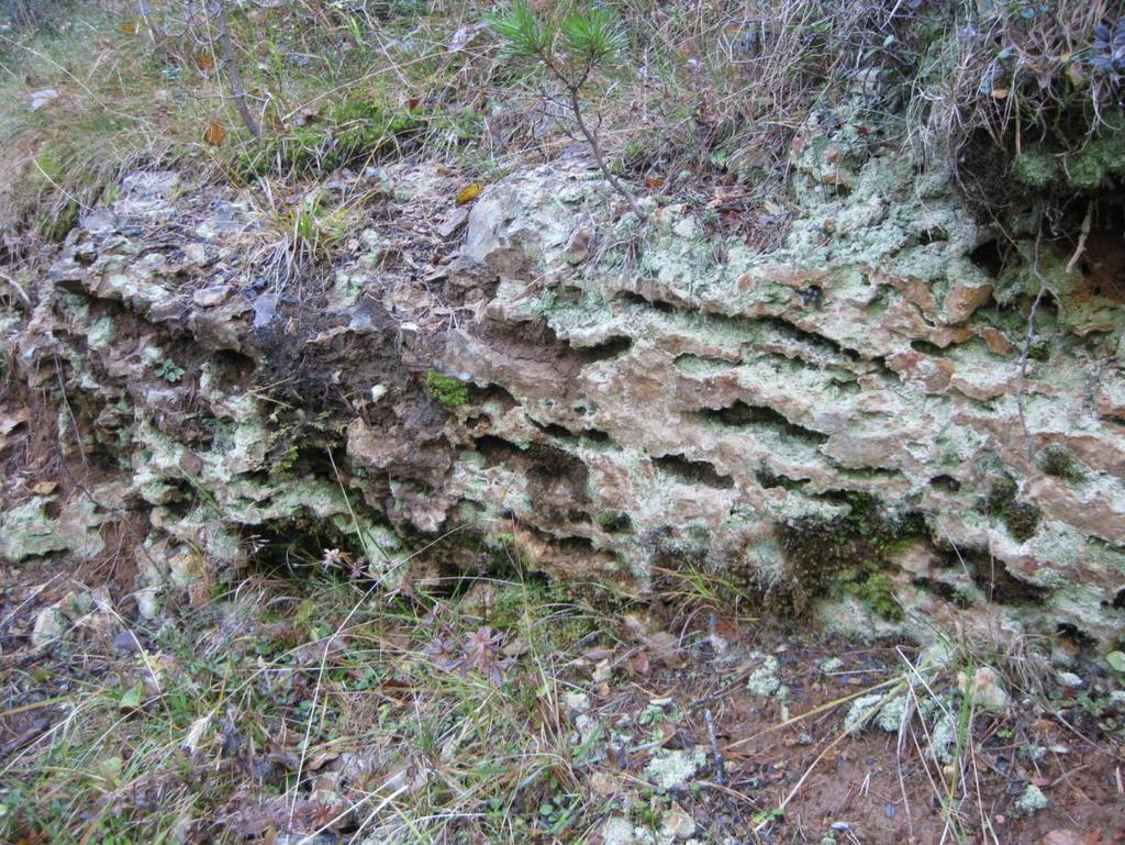 Fylkesmannen i Buskerud - Forvaltningsplan for Bremsåsen naturreservat 8 2.2. Geologi Bremsåsen naturreservat ligger i Oslofeltet på bergarter fra kambrosilur.