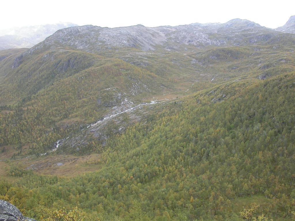 I midtre del av bildet ses kjerneområdene 3 og 4 ved Finnsetelva. Øvre kjerneområde havner i hovedsak bak fjellbjørk i forgrunnen.