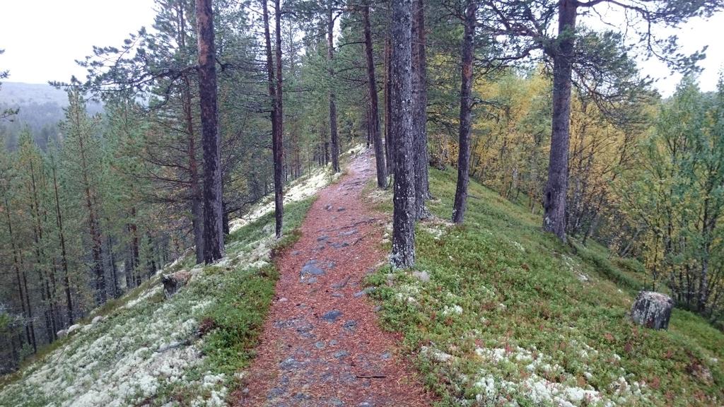 Vannet har en tydelig blågrønn farge.