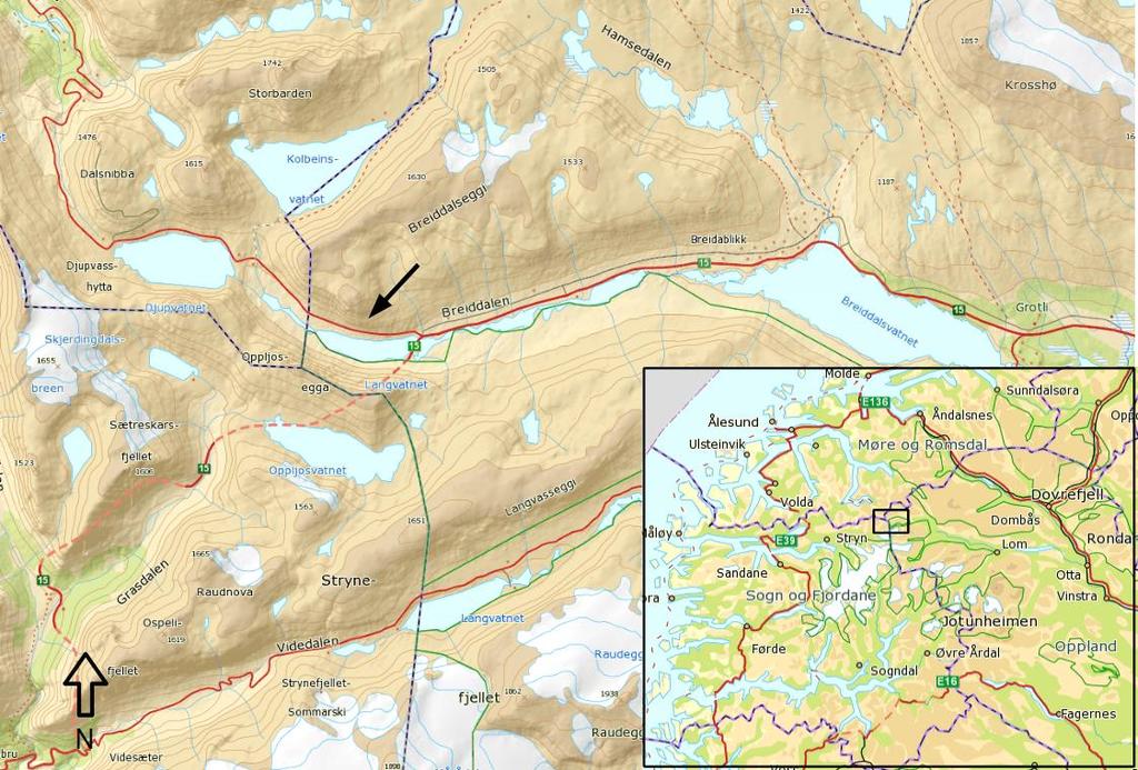 3 Studieområdet Stavbrekka Stavbrekka er en fjellside over Fv. 63 i Skjåk kommune i Oppland fylke. Normalt utløses det et glideskred om senvinteren eller våren, og raser over Fv. 63. Fv. 63 er vinterstengt, men forbinder Riksvei 15 (Rv.