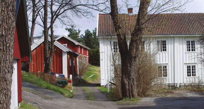 Naturlig opparbeidet gårdsplass uten belegningsstein.