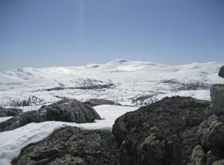 ORDFØRERENS SIDE Flå: Hvorfor er hytta viktig for min kommune? Reiselivet og hytteturismen kom til Hallingdal med åpningen av Bergensbanen i 1909.