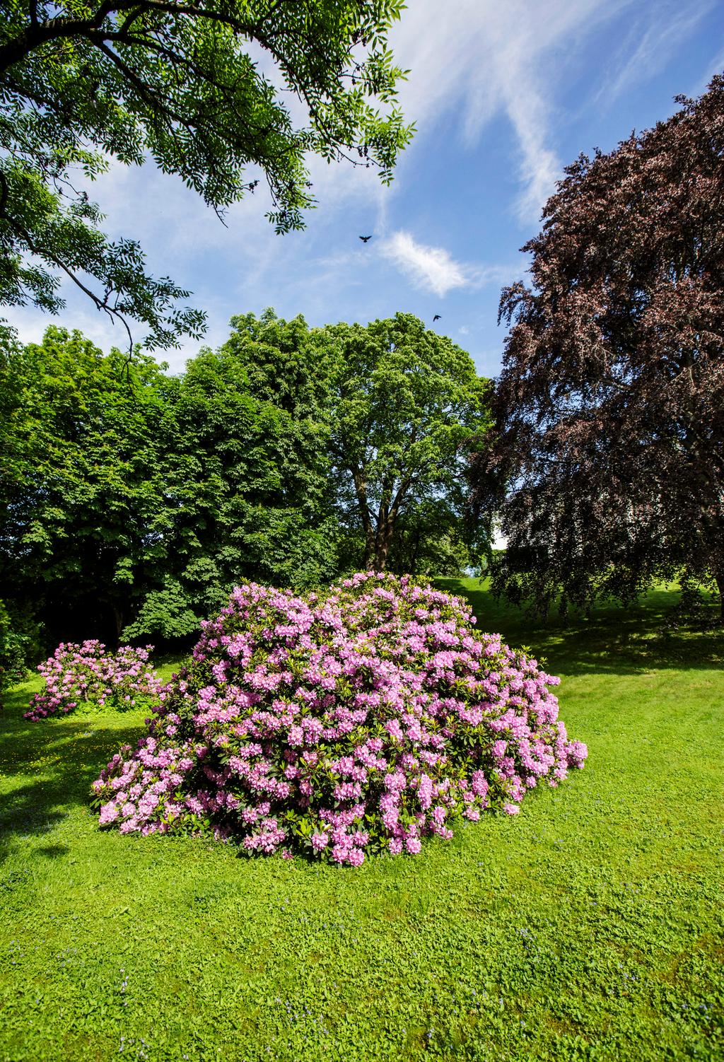 BERGEHUS KONTAKT UTLEIE VED: v/ Anders Heffermehl 950 63 693 ah@akershuseiendom.no www.akershuseiendom.no EIER/FORVALTER: Øvre Slottsgate 12B, 0113 Oslo www.eiendomsspar.