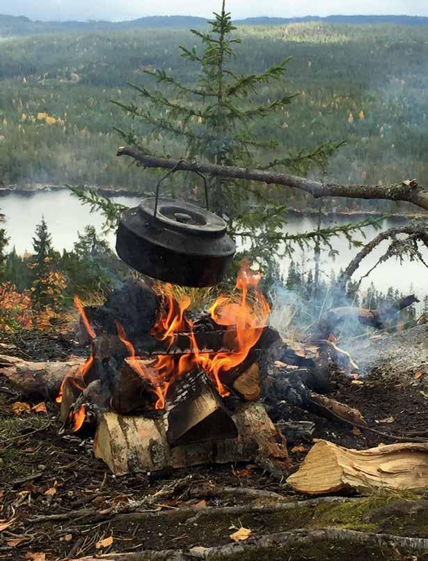 undervisning, idrett og friluftsliv, forutsetning for biologisk mangfold og dens viktige betydning for klimaet.