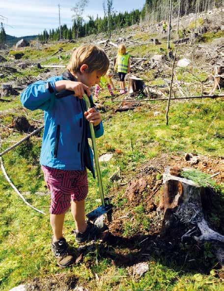 Vårt mål er større bevissthet og økt kunnskap rundt skogens betydning som råstoff i en verdikjede, arena for undervisning, idrett og friluftsliv, forutsetning for biologisk mangfold og dens viktige