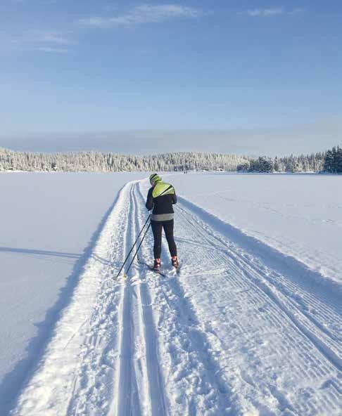 Folkehelse Fysisk aktivitet i frisk luft i skogen er godt for både kropp og sinn, for alle aldersgrupper.