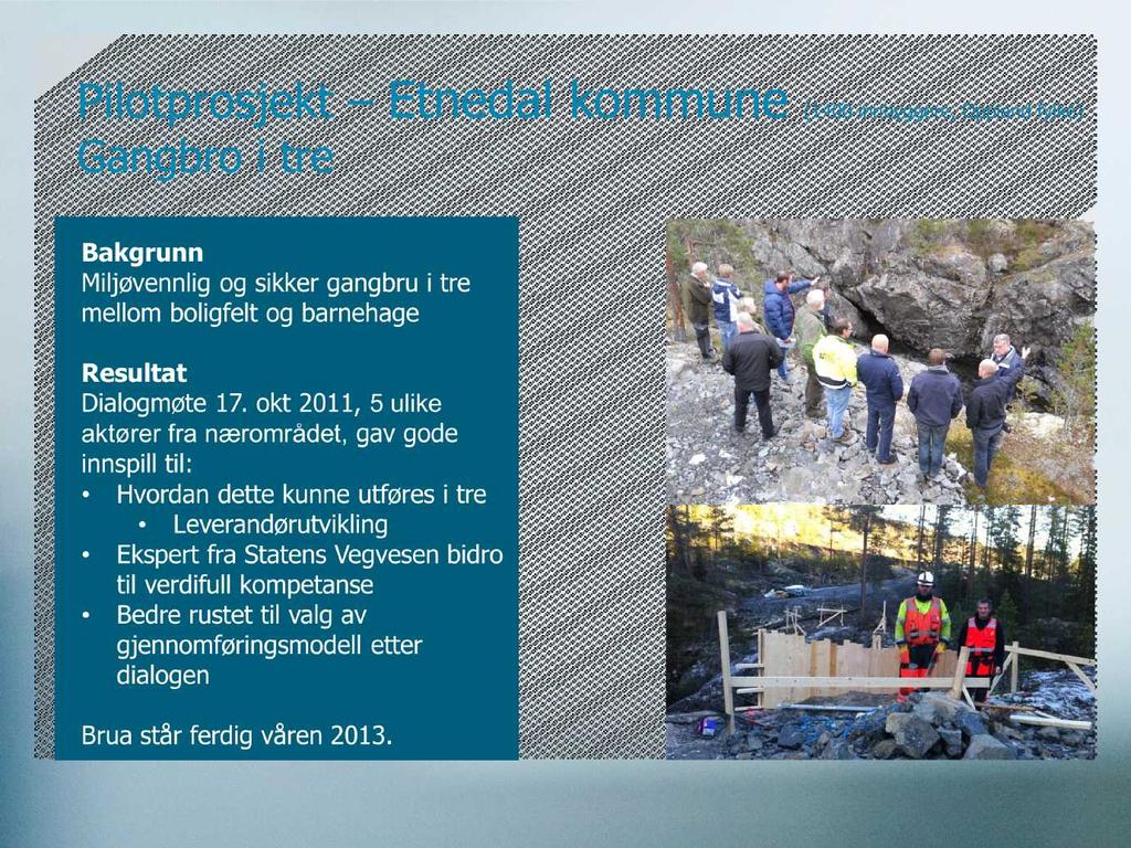 Pilotprosjekt Etnedal kommune (1400 innbyggere, Oppland fylke) Gangbro i tre Bakgrunn Miljøvennlig og sikker