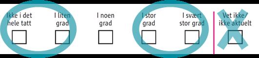 Resultater på enkeltspørsmål På de følgende sidene viser vi svarene på enkeltspørsmål om kvinnenes erfaringer.