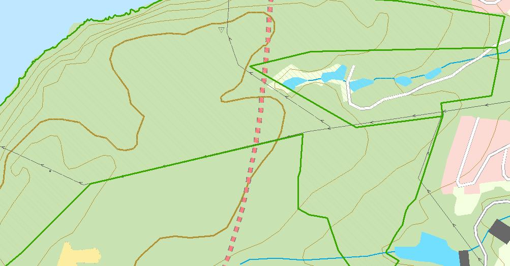 Naturfaglige registreringer av kalkskog 205 stranda Avgrensningsforslag