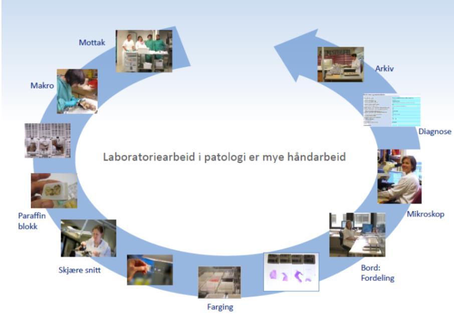 61 Digital Patologi konseptfasen Digitalisering Effektmål av digitalisering Å forbedre pasientsikkerheten (færre forvekslinger) Å bedre logistikken rundt pakkeforløp Å forbedre pasientforløpet, i