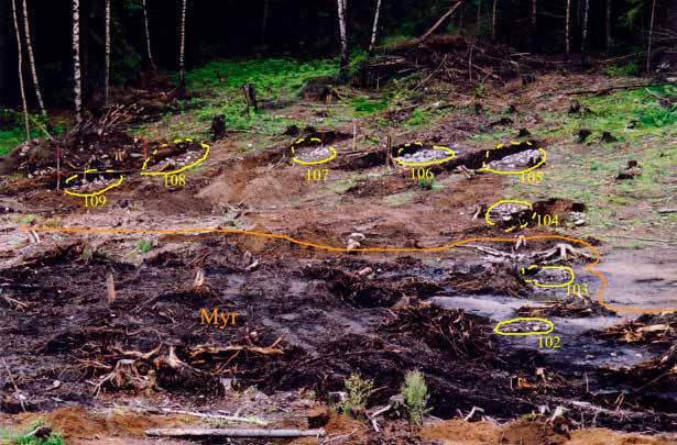 152 Svinesundsprosjektet - arkeologiske undersøkelser ved Svinesund In Situ Figur 8. Rydningsrøyser (markert med gult) på Torpum 9. To av røysene på bildet var overleiret av myr.