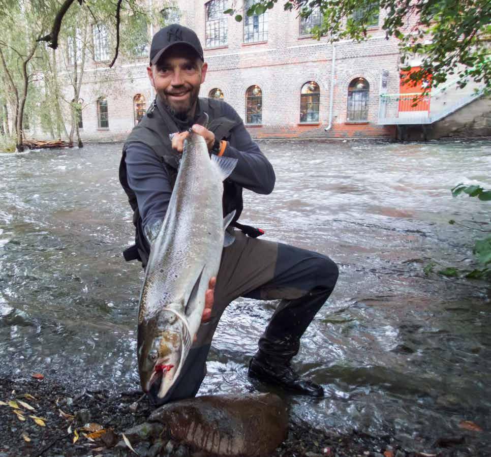 samme år var satt ut i Oslofjorden, som hadde funnet vannveien inn til Oslo sentrum.