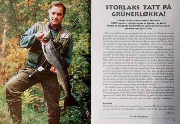 april 1981 satt Lars Petter Hansen i Fiskeforskningen ut 3900 laksesmolt. Den opprinnelige stammen var utryddet lenge før ordet gener eksisterte.