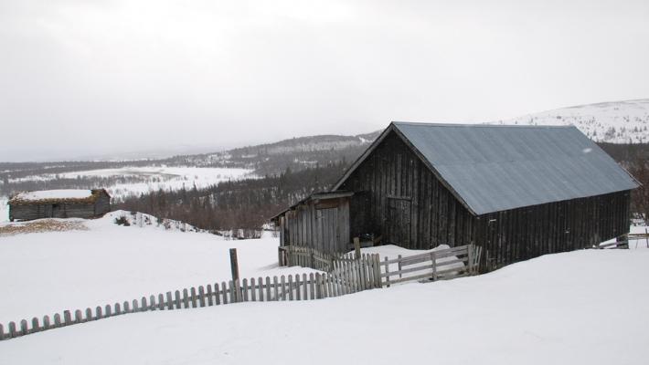 Hardingfela er tradisjonelt knyttet til Valdres. (Foto: Nancy Bundt - Visitnorway.com) Strandmo Stølsysteri (75.