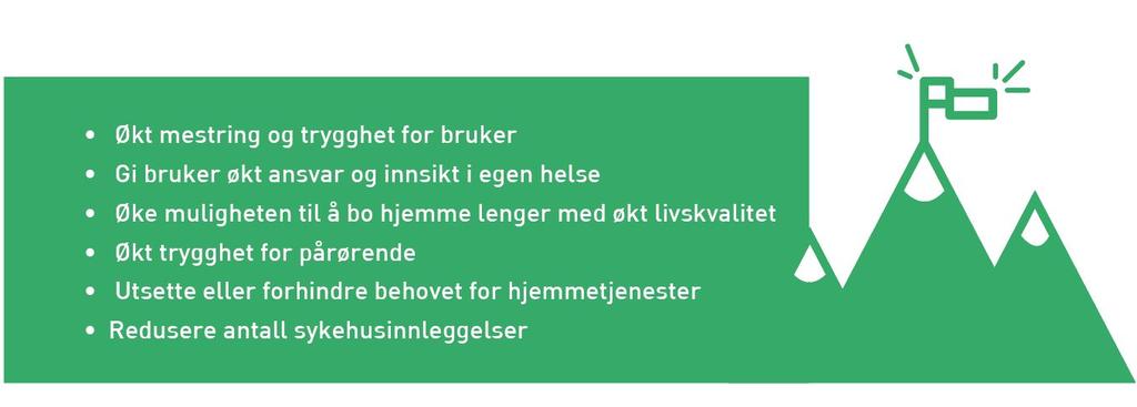 5. Mål i prosjektet og oppnåelse av disse Vårt hovedmål: Hjemmeboende og familie/pårørende opplever økt trygghet og selvstendighet i eget hjem ved bruk av velferdsteknologiske løsninger.