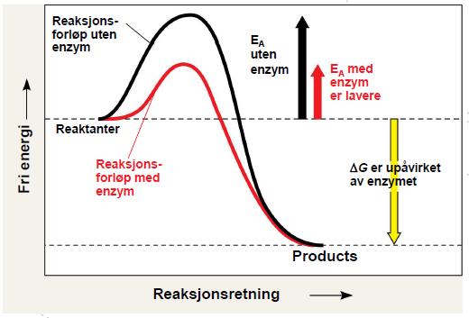 Få glukose og oksygen molekyler har tilstrekkelig aktiveringsenergi ved rom temperatur.