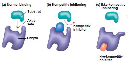 V. Beskriv to måter enzym inhibitorer selektivt kan inhibere den katalytiske aktiviteten til enzymer. Kompetitive inhibitorer binder det aktive setet i enzymet og konkurrerer med substratet.