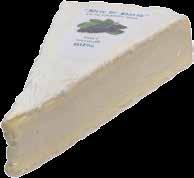 kg 319 00 BRIE