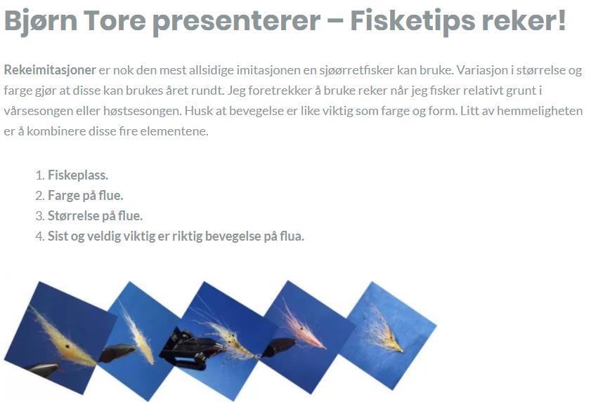 Hele prosessen fra flue til fisk! Hvilke materialer man skal kjøpe. Riktig verktøy.