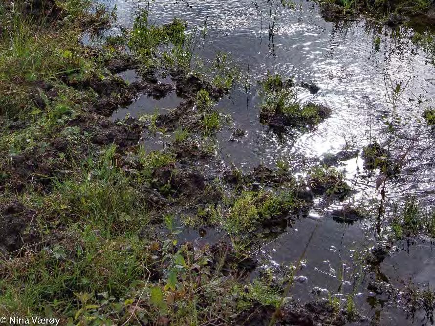 I Vann-nett er vannløpet registrert under bekkefeltvannforekomsten 028-122-R Bekker til Hafrsfjord. Økologisk tilstand er vurdert som moderat.