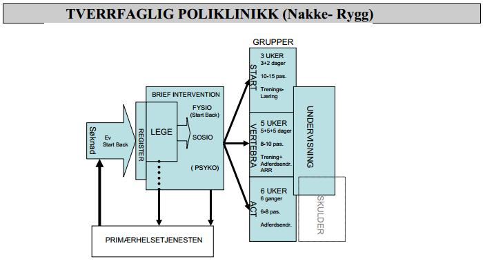 spesialisthelsetjenesten utover BI. Dette foregår i utstrakt grad gruppebasert i rygg/nakkegrupper.