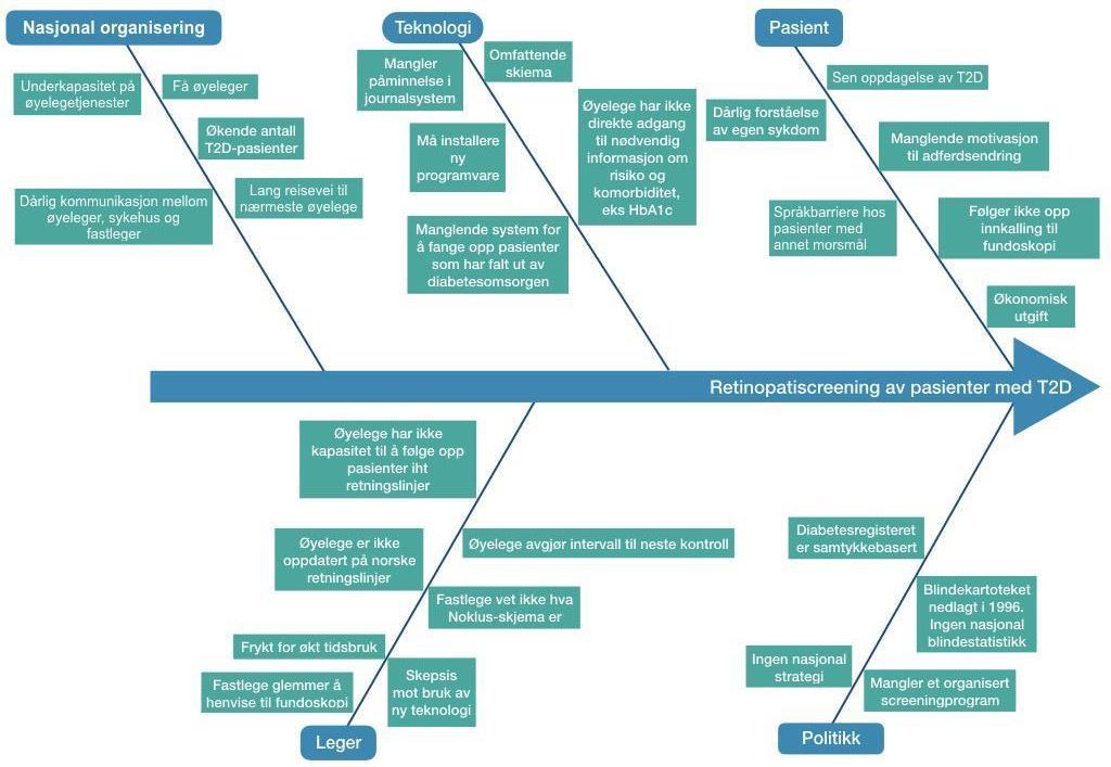 Det ser dermed ut til at fåtallet av Norges allmennleger, inkludert legene i vårt valgte mikrosystem, benytter seg av NOKLUS skjema i sin oppfølging av diabetespasienter.