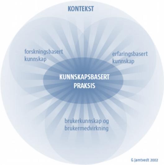 Fig 2. Kunnskapsbasert praksis. Fra Kunnskapssenteret. 3. Sykepleieprosessen Dokumentasjon av sykepleie er en egen del av pasientjournalen og sykepleiere har et selvstendig ansvar for dette.