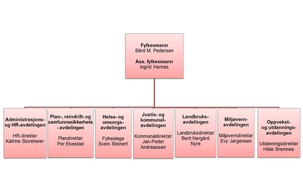 Organisasjonskart