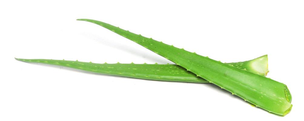 Aloe Veterinary Formula fokuserer i sin helhet på våre firbeinte