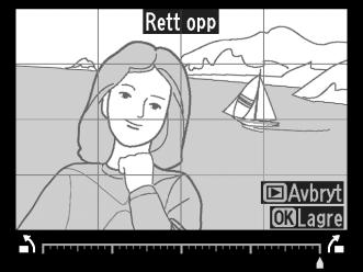 Rask retusjering G-knapp N retusjeringsmeny Lage kopier med økt metning og kontrast. D-Lighting brukes ved behov for å lysne mørke motiver eller motiver i motlys.