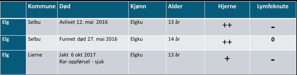 CWD positive elg i Trøndelag per 23.