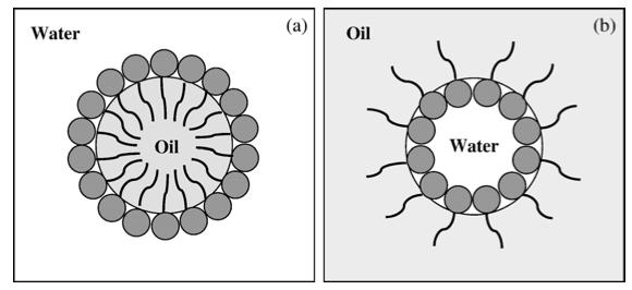 2.2.4 Kjernemelkas emulgeringsevne Hovedfunksjonen til MFGM i melk er å stabilisere lipiddråpene i plasma.