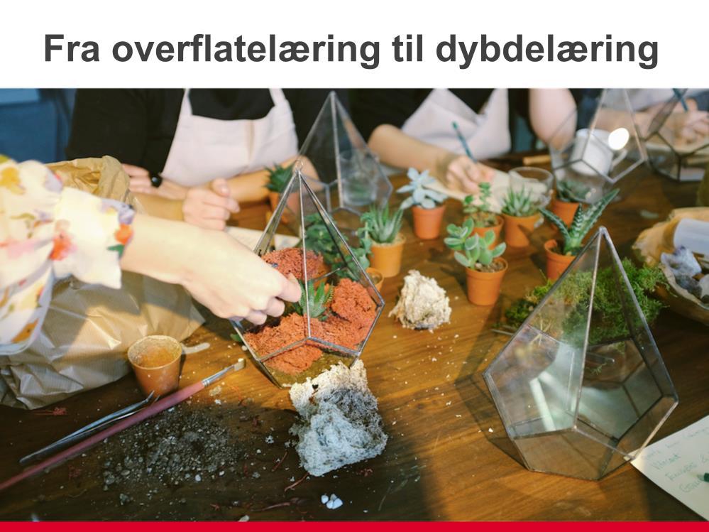 SV vil ha en skole som tar tak i disse utfordringene. Vi vil ha en skole som ikke gir opp et eneste barn.