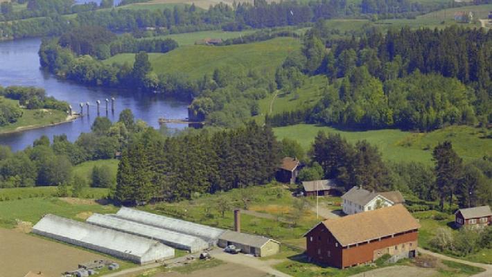 Stedet drives av Mille-Marie Treschow som - i sommersesongen - tar imot forhåndsbestilte gjester. Slott bygget av amtmann Michael Treschow i velholdt park med dyreliv. Flåtefiske i Lågen (.