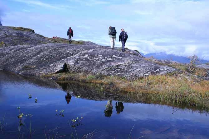 Hvem er målgruppeninteressentanalyse Aktørbildet i forvaltningen av norsk natur er stort, dette gjelder også for verneområdene, noe som kan gjøre det krevende å få god oversikt over interessentbildet.