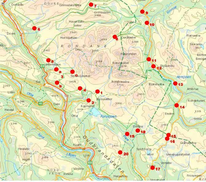 Kart 2: Kart som viser innfallsportene til Rondane nasjonalpark (Bjormyr F. og Rusten E. 2014; Status innfallsporter til Rondane nasjonalpark 2014) 9 3 Mål og strategiske grep 3.