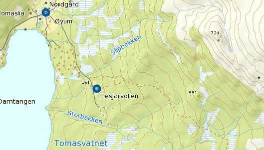 Plassering av skiltfløy ved