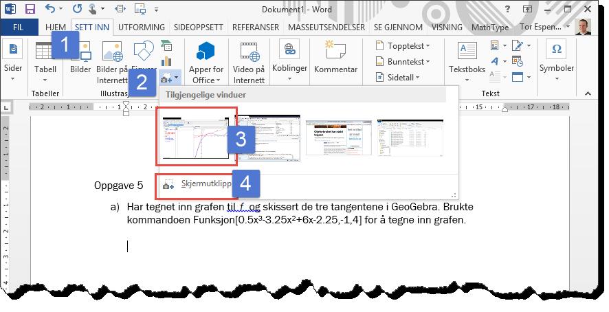 32 Kapittel 3. Kopiere og lime inn i en tekstbehandler 3.2.2 Å sette inn bilder i nyere versjoner av Word Har du en nyere versjon av Word, kan du sette inn bilder direkte fra Word.