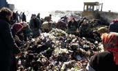 7 Desperate ukrainere leter etter mat blant nyankommet søppel.