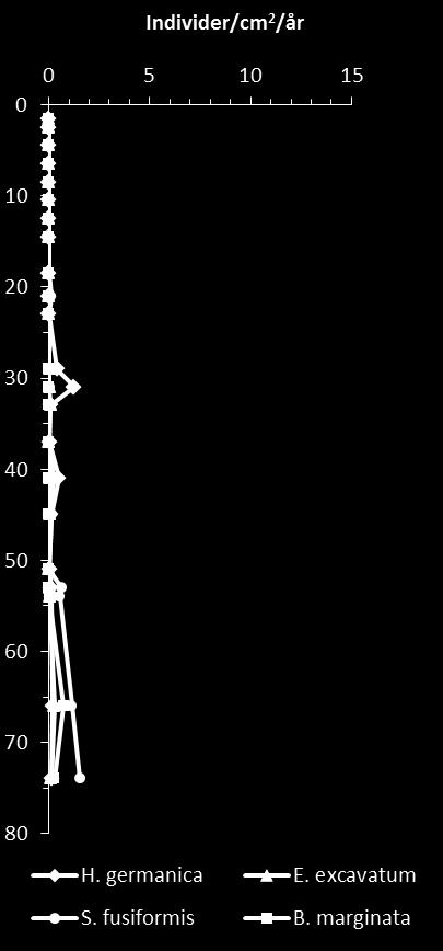 Røt stiplet linje indikerer perioder uten eller med sterkt redusert bunnfauna ( død periode), tilsvarende `svært dårlig` tilstand.