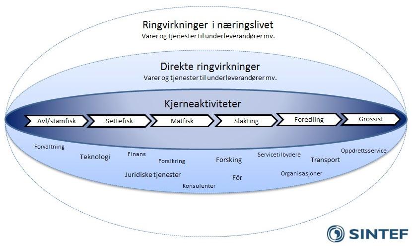 Verdikjede/kjerneaktivitet Havbruksnæringen er utvilsomt en vesentlig bidragsyter til å skape sysselsetting og gode arbeidsplasser i Salten.